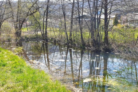 Sodraica loki potok moja jezera manca korelc 1