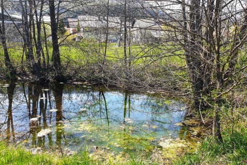 Sodraica loki potok moja jezera manca korelc 2