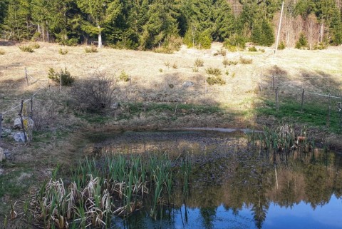 Lazec loki potok moja jezera manca korelc 1