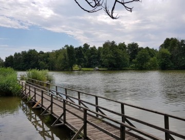 Ribniki v Pragerskem | Moja jezera | Vsa slovenska jezera | Manca Korelc