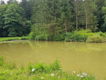 Ribnika Raček | Moja jezera | Vsa slovenska jezera | Manca Korelc