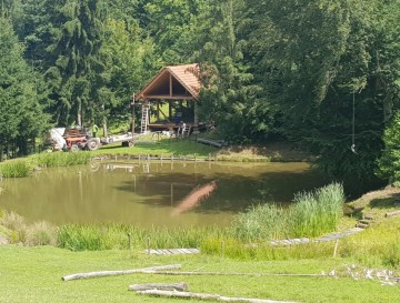 Ribnik v Lušečki vasi | Moja jezera | Vsa slovenska jezera | Manca Korelc
