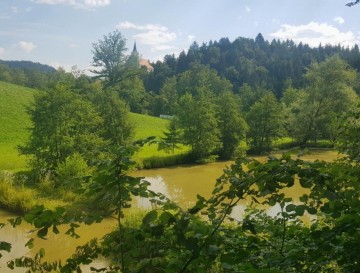 Ribnik v Razgorju | Vsa slovenska jezera | Moja jezera | Manca Korelc