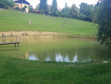 Ribnik v Svetelki | Vsa slovenska jezera | Moja jezera | Manca Korelc