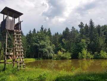 Ribnika v Cerovcu  | Vsa slovenska jezera | Moja jezera | Manca Korelc