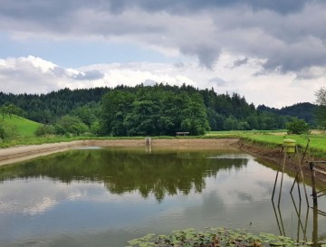 Ribniki v Razborju | Vsa slovenska jezera | Moja jezera | Manca Korelc