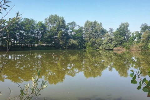Boreci ribniki prekmurje moja jezera manca korelc 2