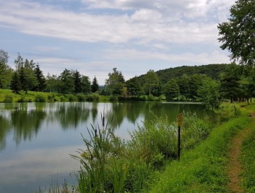 Ribnik Blato | Vsa slovenska jezera | Moja jezera | Manca Korelc