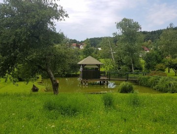 Ribnik Hudeje | Vsa slovenska jezera | Moja jezera | Manca Korelc