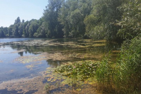 Bakovci ribniki prekmurje moja jezera manca korelc 1
