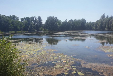 Bakovci ribniki prekmurje moja jezera manca korelc 2