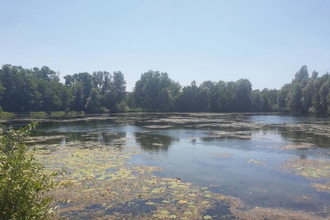 Bakovci ribniki prekmurje moja jezera manca korelc 3