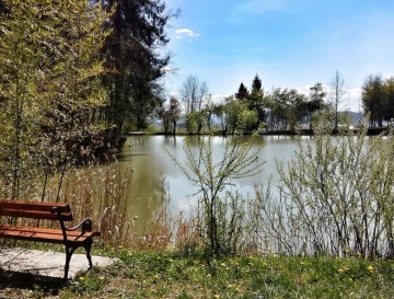 Kriški bajer | Moja jezera | Vsa slovenska jezera | Manca Korelc