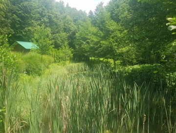 Ribnik v Stanu | Vsa slovenska jezera | Moja jezera | Manca Korelc