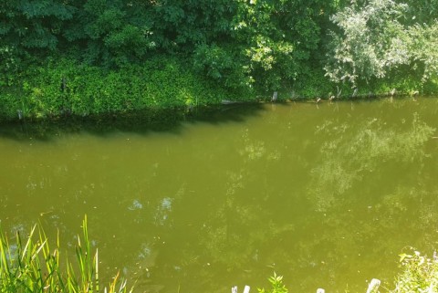 Bakovci ribniki prekmurje moja jezera manca korelc 6