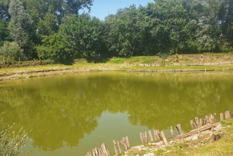 Bakovci ribniki prekmurje moja jezera manca korelc 8