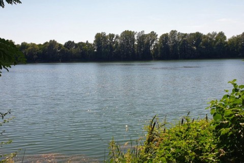 Kroska kamesnica prekmurje moja jezera manca korelc 4
