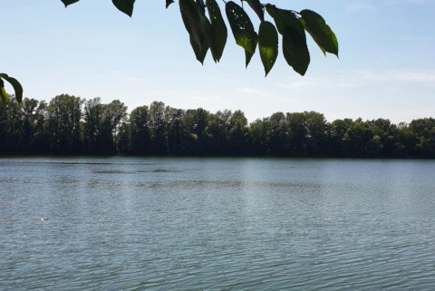 Kroska kamesnica prekmurje moja jezera manca korelc 6
