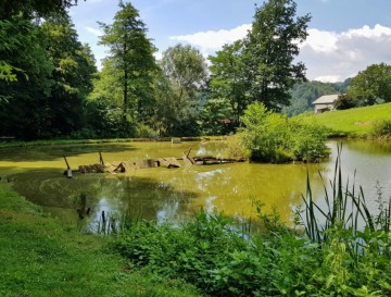 Mlačanski ribniki | Vsa slovenska jezera | Moja jezera | Manca Korelc