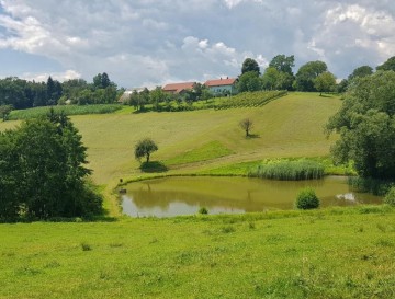 Ribnik v sv. Jerneju | Vsa slovenska jezera | Moja jezera | Manca Korelc