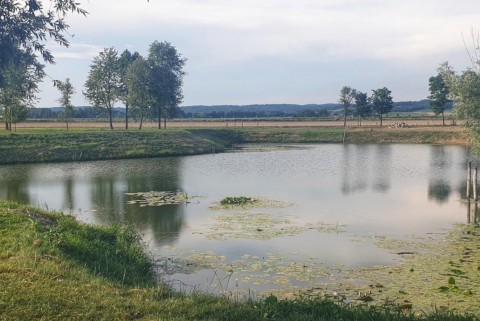 Moravske toplice ribniki moja jezera manca korelc 5