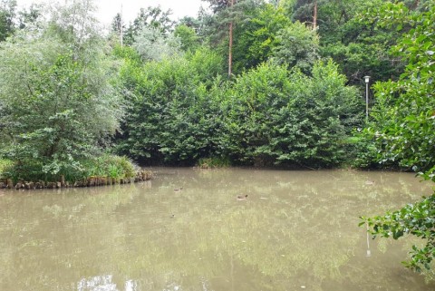 Maribor ribnik pohorje moja jezera manca korelc 2