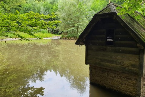 Maribor ribnik pohorje moja jezera manca korelc 6