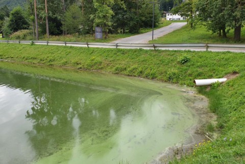 Maribor ribnik pohorje moja jezera manca korelc 9
