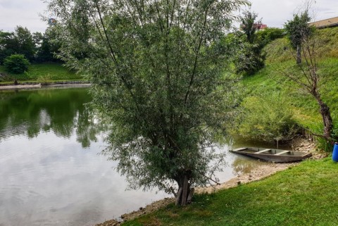 Maribor ribniki ostriz moja jezera manca korelc 3