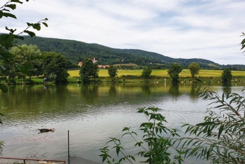 Maribor ribniki pivola moja jezera manca korelc 3