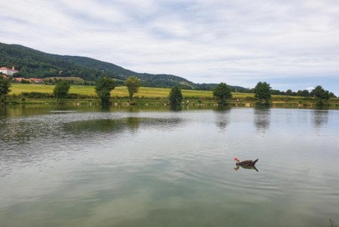 Maribor ribniki pivola moja jezera manca korelc 7