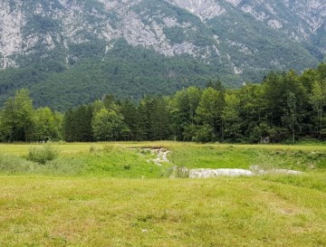 Jezerce v Blatu | Vsa slovenska jezera | Moja jezera | Manca Korelc