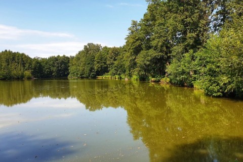 Maribor slivniski ribniki moja jezera manca korelc 1