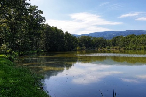 Maribor slivniski ribniki moja jezera manca korelc 3