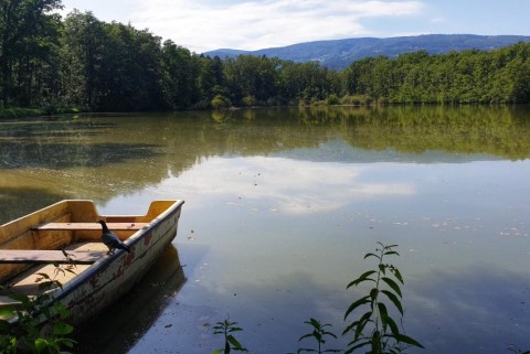 Maribor slivniski ribniki moja jezera manca korelc 4