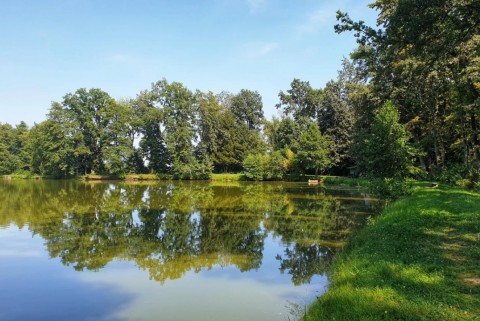 Maribor slivniski ribniki moja jezera manca korelc 7