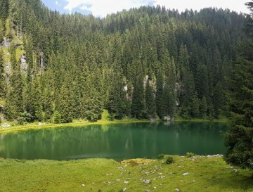 Jezero na Planini pri jezeru | Vsa slovenska jezera | Moja jezera | Manca Korelc