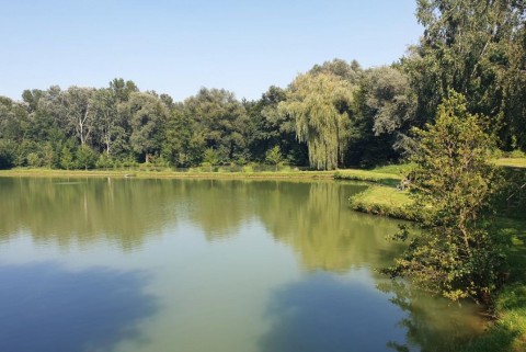Maribor ribniki rae moja jezera manca korelc 1