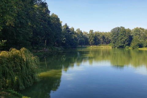 Maribor ribniki rae moja jezera manca korelc 2
