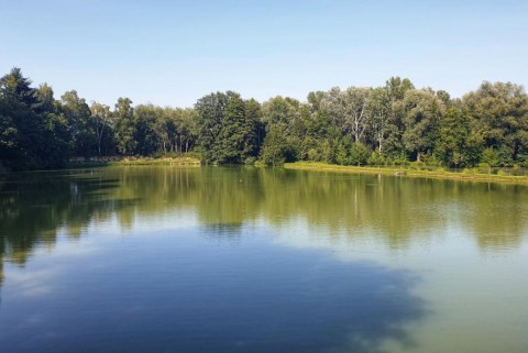 Maribor ribniki rae moja jezera manca korelc 3