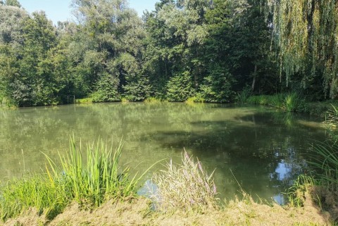 Maribor ribniki rae moja jezera manca korelc 5