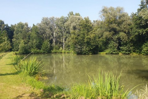 Maribor ribniki rae moja jezera manca korelc 6