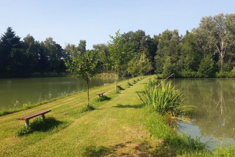 Maribor ribniki rae moja jezera manca korelc 7
