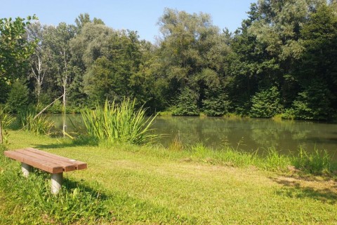 Maribor ribniki rae moja jezera manca korelc 9
