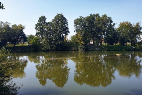 Maribor ribniki rae moja jezera manca korelc 10