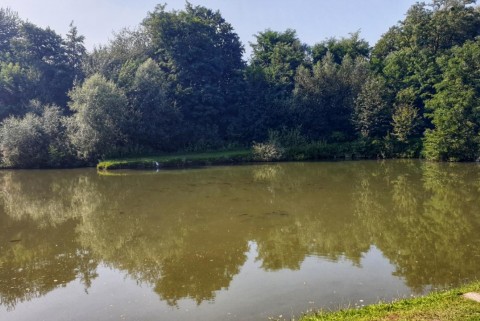 Maribor ribniki rae moja jezera manca korelc 12