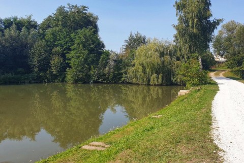 Maribor ribniki rae moja jezera manca korelc 13