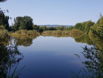 Brezinški bajerji | Vsa slovenska jezera | Moja jezera | Manca Korelc