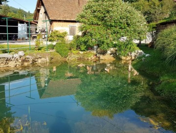 Ribnik v Prevaljah | Vsa slovenska jezera | Moja jezera | Manca Korelc