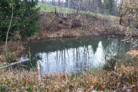 Prosenov ribnik crni vrh moja jezera manca korelc 8